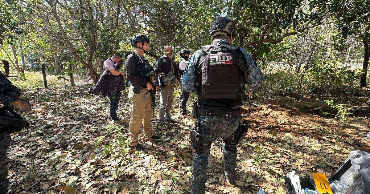 Dismembered bodies of 24 people found in mass grave in Mexico