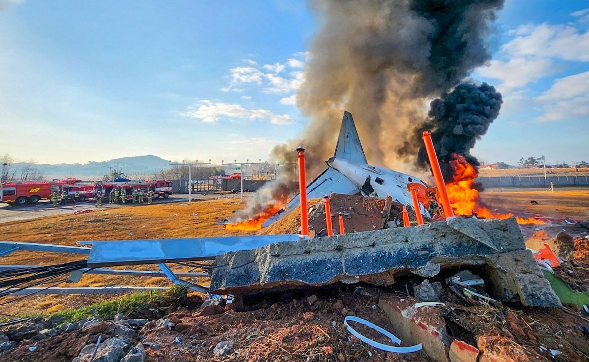 Bird Feathers, Bloodstains Found In Crashed South Korea Plane's Engines: Report