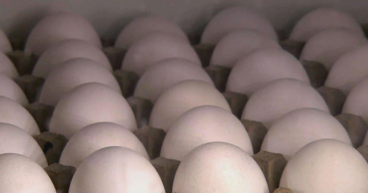 Increasing egg prices have Americans scrambling