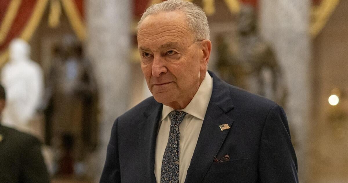 Democrats in search of unity after internal disagreements over averted government shutdown