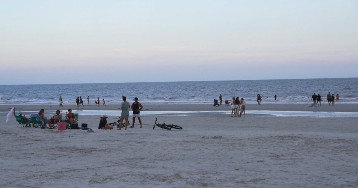 Early summer shark bites prompt beach safety warnings