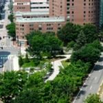 How to keep cool in extreme urban heat