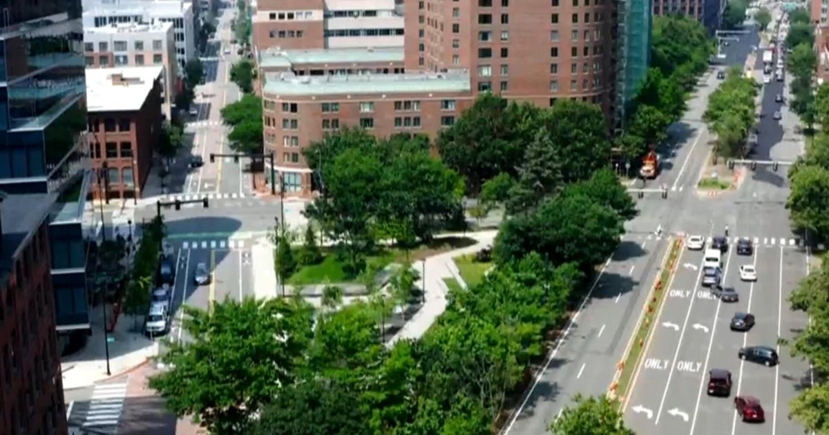 How to keep cool in extreme urban heat