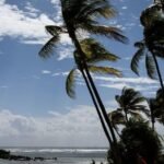 French scientists discover new blood type in Guadeloupe woman