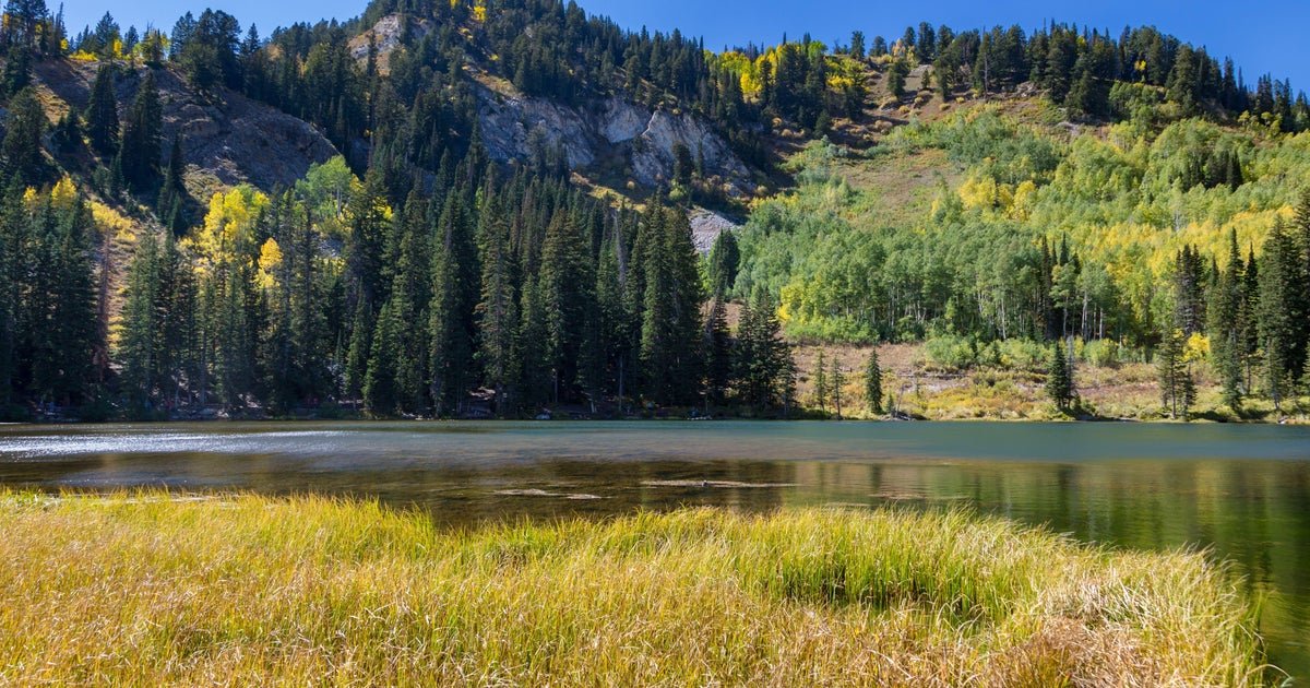 Sen. Mike Lee removes public lands provision from Trump's "big, beautiful bill"