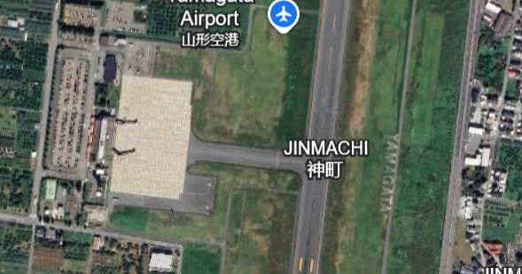 Bear on runway forces airport in Japan to cancel flights: "We're in a stalemate"