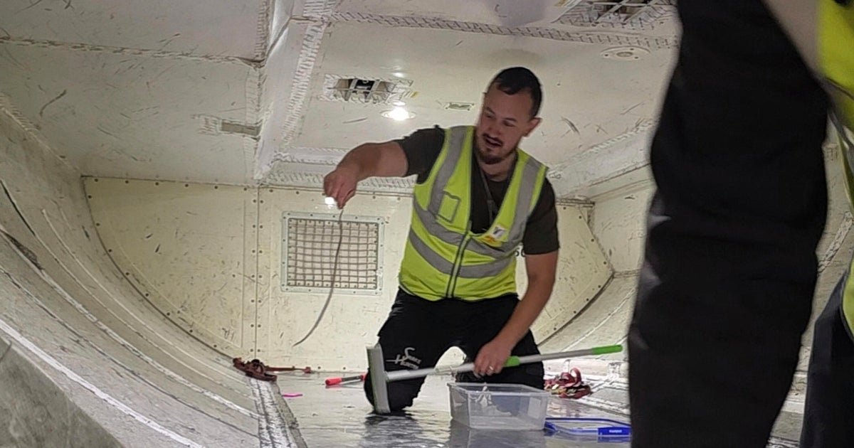Snake found on passenger jet in Australia, delaying flight 2 hours: "It looked very dangerous to me"
