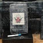 Florida beachgoer finds nearly half a million dollars of cocaine wrapped in "Yosemite Sam" packaging