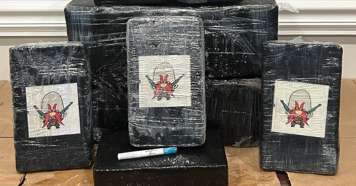 Florida beachgoer finds nearly half a million dollars of cocaine wrapped in "Yosemite Sam" packaging
