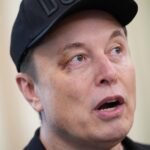 Elon Musk tells tech analyst Dan Ives to "Shut up" after he makes recommendations to Tesla board