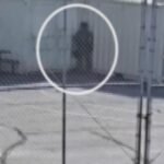 DHS investigating video allegedly showing immigration agents urinating in high school parking lot